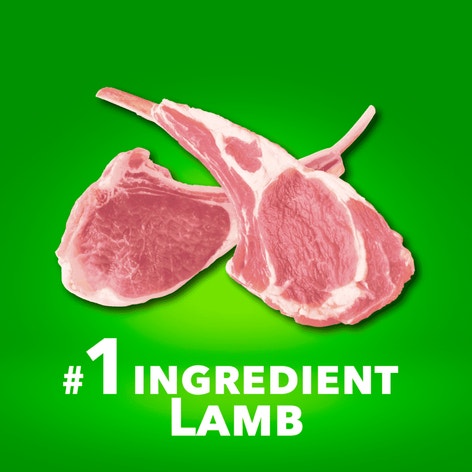 IAMS™ SMALL BREED LAMB AND RICE image 1