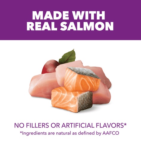 IAMS ADVANCED HEALTH Skin & Coat Chicken and Salmon Recipe Adult Dry Dog Food, 4.5 lb bag image 1