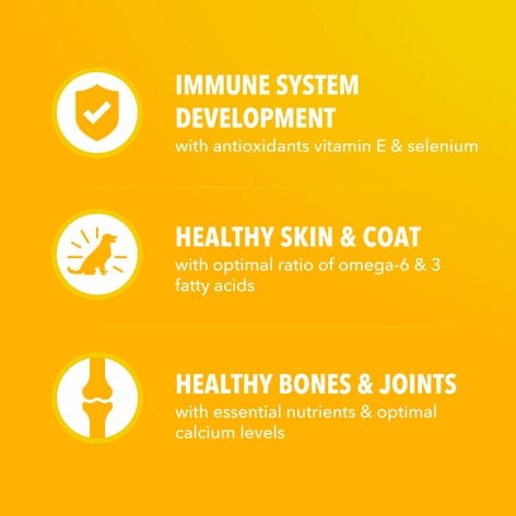 IAMS™ PUPPY image 1