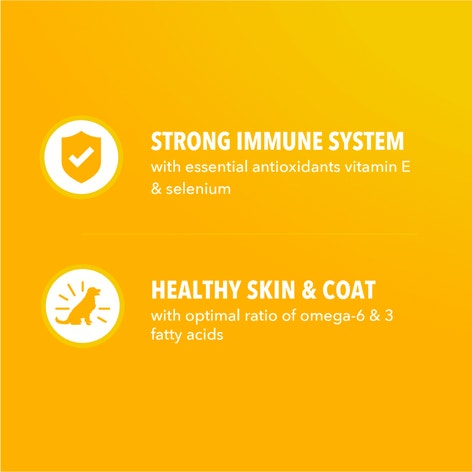 IAMS Proactive Health Healthy Puppy Chicken Recipe Small Breed Dry Puppy Food, (4) 5 Lb Bags image 1