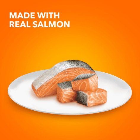 IAMS™ PERFECT PORTIONS™  INDOOR CUTS IN GRAVY - SALMON RECIPE image 1