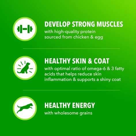 Proactive Health Large Breed Adult Chicken & Whole Grain Recipe Dry Dog Food image 1