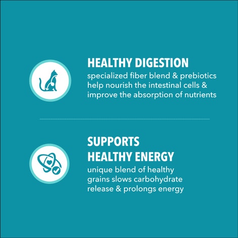 IAMS™ PROACTIVE HEALTH™ ADULT INDOOR WEIGHT & HAIRBALL CARE WITH SALMON image 1