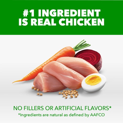 IAMS Proactive Health Small Breed Adult Chicken & Whole Grain Recipe Dry Dog Food, (4) 5 Lb Bags image 1