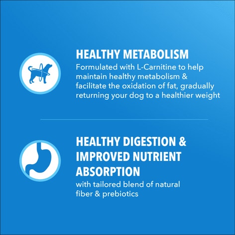 IAMS Proactive Health Healthy Weight Adult Chicken & Whole Grain Recipe Dry Dog Food, (4) 5 Lb Bags image 1