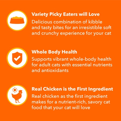 IAMS™ HEALTHY ENJOYMENT™ DRY CAT CHICKEN & BEEF image 1