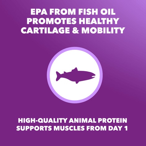 IAMS™ ADVANCED HEALTH™ MOBILITY SUPPORT image 1