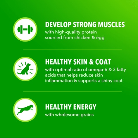 Proactive Health Large Breed Adult Chicken & Whole Grain Recipe Dry Dog Food image 1