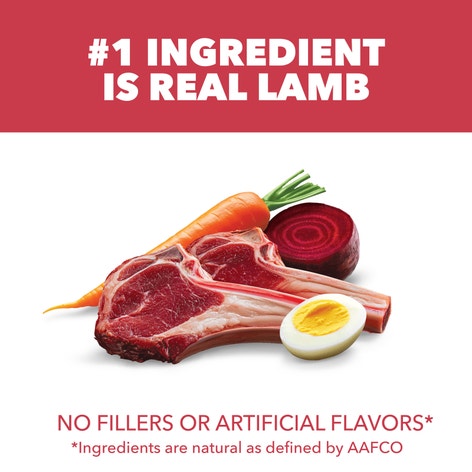 IAMS™ MINICHUNKS LAMB & RICE image 1