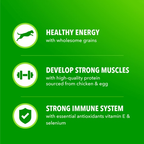 IAMS™ MINICHUNKS CHICKEN & WHOLE GRAINS image 1