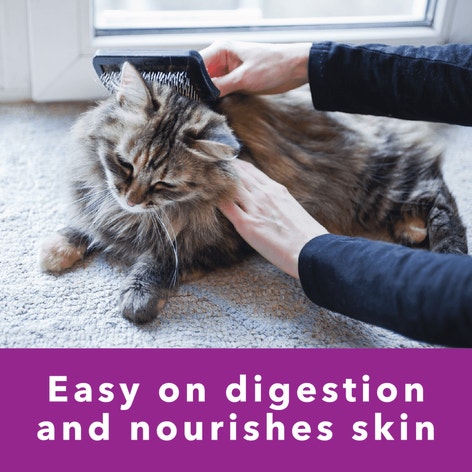 IAMS™ PERFECT PORTIONS™ SENSITIVE DIGESTION & SKIN ADULT PATÉ  - TURKEY RECIPE image 1