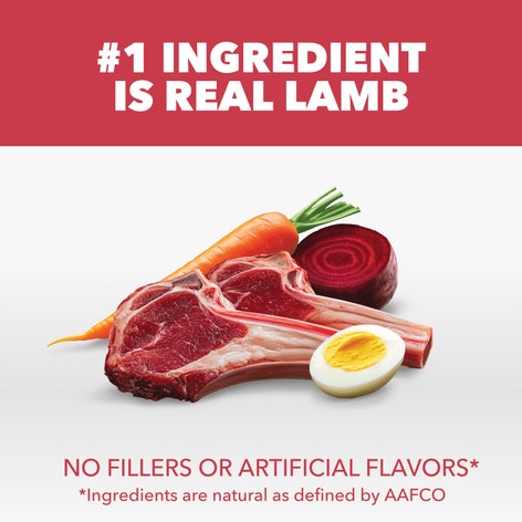 IAMS™ LARGE BREED LAMB & RICE image 1