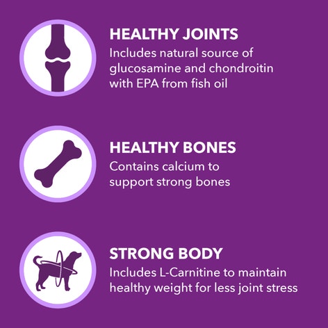 IAMS™ ADVANCED HEALTH™ MOBILITY SUPPORT image 1