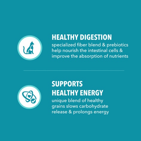 IAMS™ PROACTIVE HEALTH™ ADULT INDOOR WEIGHT & HAIRBALL CARE WITH SALMON image 1