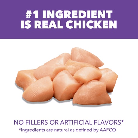 IAMS™ PROACTIVE HEALTH™ HEALTHY KITTEN image 1