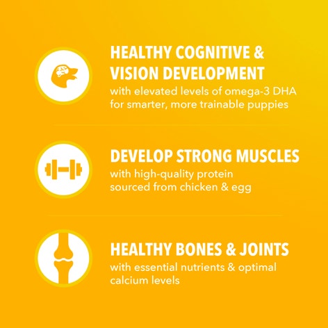 IAMS Proactive Health Dry Puppy Food Chicken, (4) 5 lb. Bags image 1