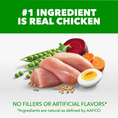 Proactive Health Large Breed Adult Chicken & Whole Grain Recipe Dry Dog Food image 1