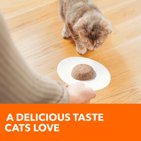 IAMS™ PERFECT PORTIONS™ HEALTHY KITTEN PATÉ - CHICKEN RECIPE image 1