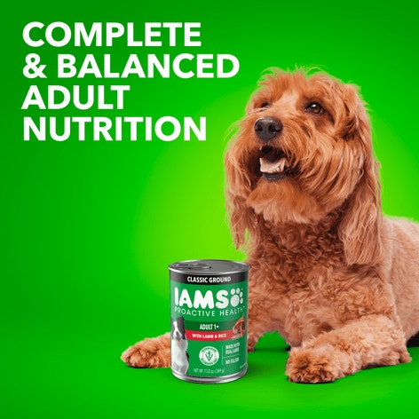IAMS™ PROACTIVE HEALTH™ WITH LAMB AND RICE CLASSIC GROUND image 1
