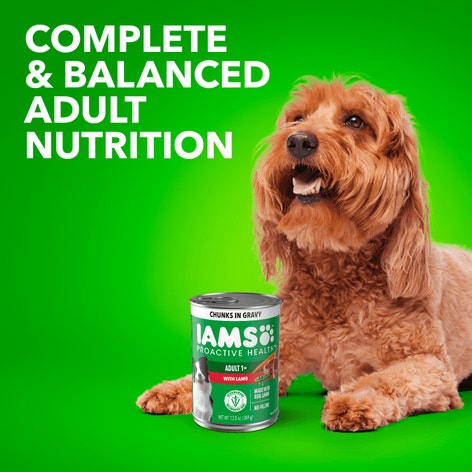 IAMS™ ADULT LAMB CHUNKS IN GRAVY image 1