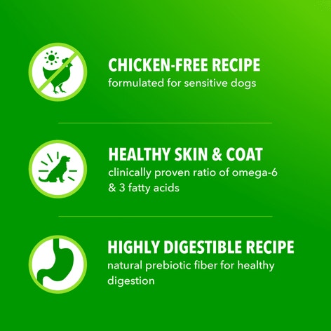 Proactive Health Sensitive Skin & Stomach Adult Dry Dog Food Salmon image 1