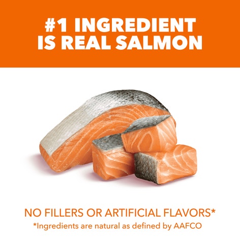 IAMS™ PROACTIVE HEALTH™ HEALTHY ADULT WITH SALMON image 1