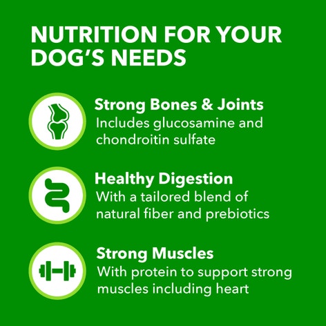 Proactive Health Large Breed Adult Chicken & Whole Grain Recipe Dry Dog Food image 1