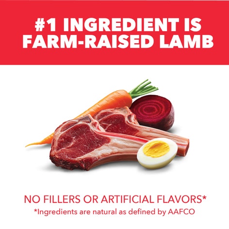 IAMS™ MINICHUNKS LAMB & RICE image 1