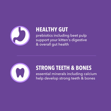 IAMS™ PROACTIVE HEALTH™ HEALTHY KITTEN image 1