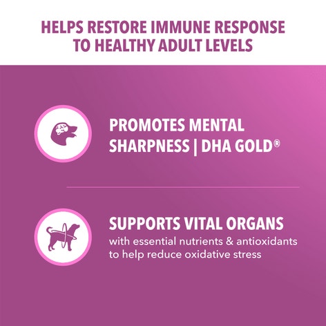 IAMS™ HEALTHY AGING image 1