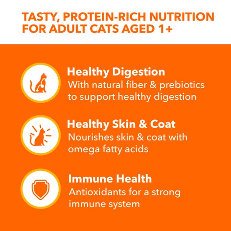 IAMS™ PERFECT PORTIONS™ INDOOR PATÉ VARIETY PACK- SALMON RECIPE & TURKEY RECIPE 12CT image 1