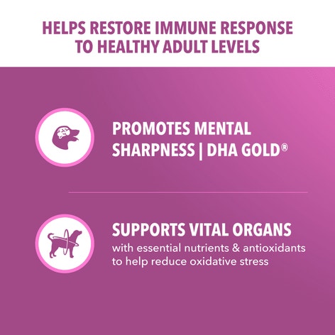 IAMS™ HEALTHY AGING LARGE BREED image 1