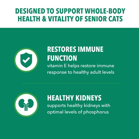 IAMS™ PROACTIVE HEALTH™ HEALTHY SENIOR image 1