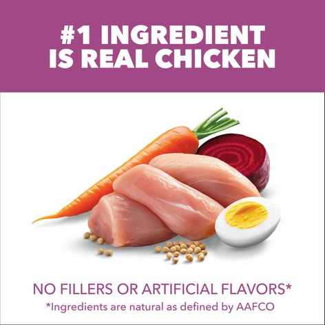 IAMS™ HEALTHY AGING LARGE BREED image 1