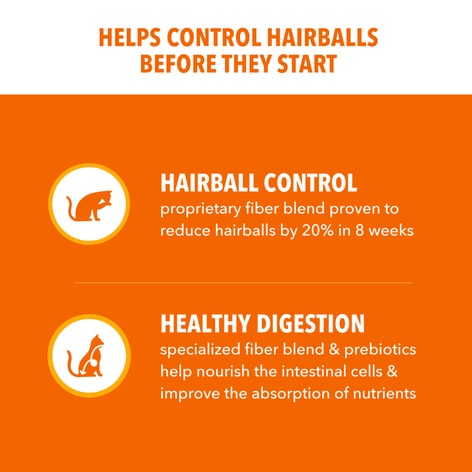 IAMS™ PROACTIVE HEALTH™ HAIRBALL CARE image 1