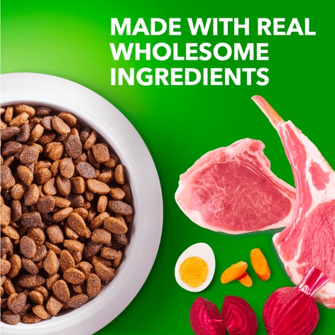 IAMS™ SMALL BREED LAMB AND RICE image 1