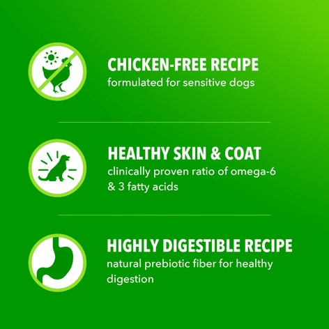 Proactive Health Sensitive Skin & Stomach Adult Dry Dog Food Salmon image 1
