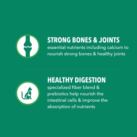 IAMS™ PROACTIVE HEALTH™ HEALTHY SENIOR image 1