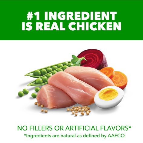IAMS™ MINICHUNKS CHICKEN & WHOLE GRAINS image 1