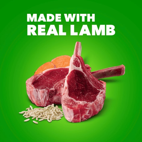 IAMS™ PROACTIVE HEALTH™ WITH LAMB AND RICE CLASSIC GROUND image 1