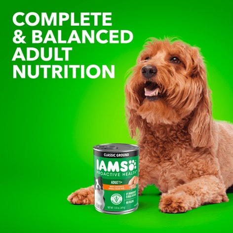 IAMS™ PROACTIVE HEALTH™ WITH CHICKEN AND WHOLE GRAIN RICE CLASSIC GROUND image 1