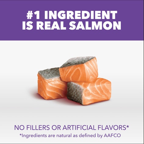 IAMS™ Proactive Health Salmon Dry Kitten Food Recipe image 1