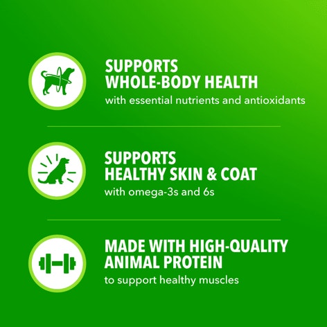 IAMS Proactive Health Adult Beef, Peas and Carrots Recipe Wet Dog Food image 1