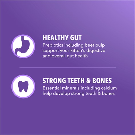 IAMS™ Proactive Health Salmon Dry Kitten Food Recipe image 1