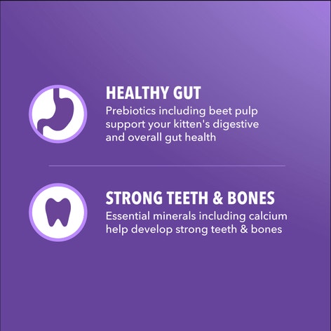 IAMS™ Proactive Health Salmon Dry Kitten Food Recipe image 1
