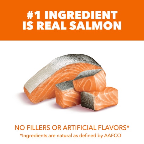 IAMS™ PROACTIVE HEALTH™ HEALTHY ADULT WITH SALMON image 1