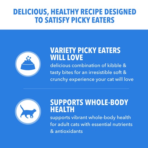 IAMS™ HEALTHY ENJOYMENT™ DRY CAT CHICKEN & SALMON image 1