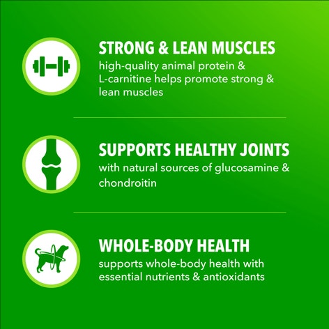 IAMS™ Proactive Health High Protein Chicken and Beef Dry Dog Food image 1