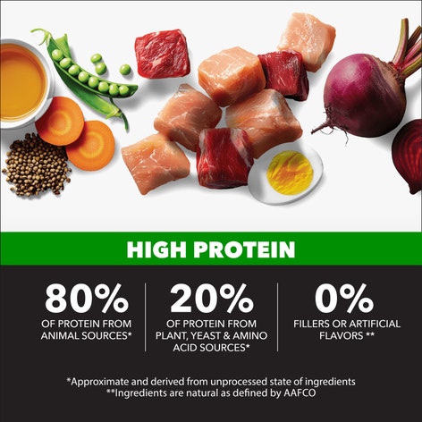 IAMS™ Proactive Health High Protein Chicken and Beef Dry Dog Food image 1
