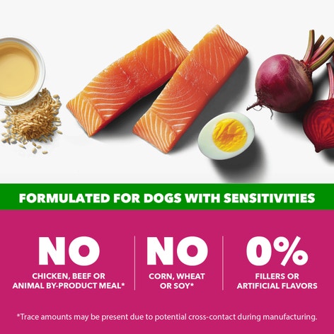 Proactive Health Sensitive Skin & Stomach Adult Dry Dog Food Salmon image 1